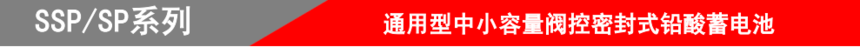 山东圣阳电源股份有限公司SSP/SP系列.png