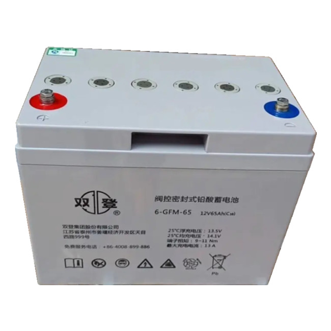 双登6-GFM-65 12V65Ah蓄电池正品保证。全国联保三年，全国范围可免费上门安装调试。